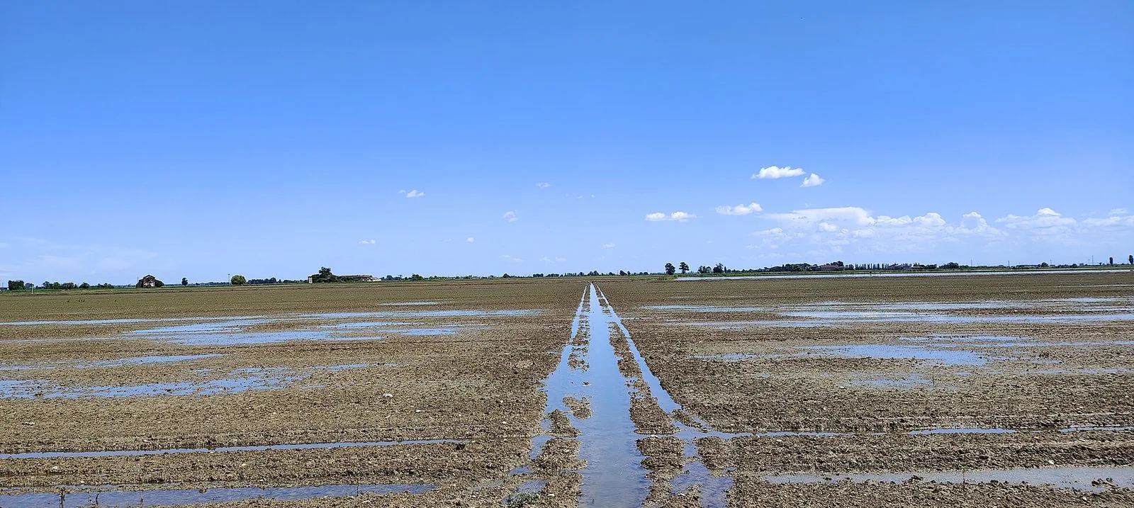 Risaia allagata del Vercellese che riflette il cielo